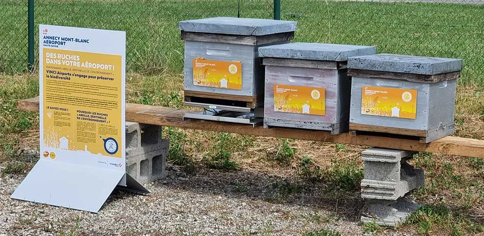 Trois ruches installées sur un toit à l’aéroport d’Annecy par KDET