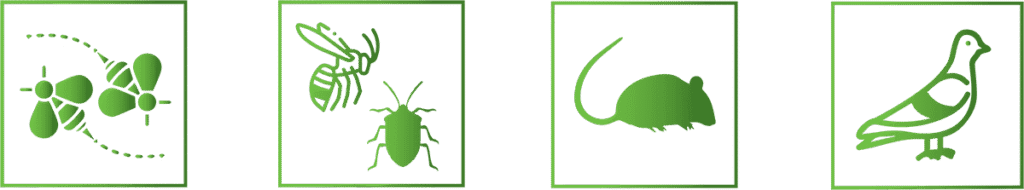 Intervention d’un professionnel agréé Certibiocide pour lutter contre les nuisibles