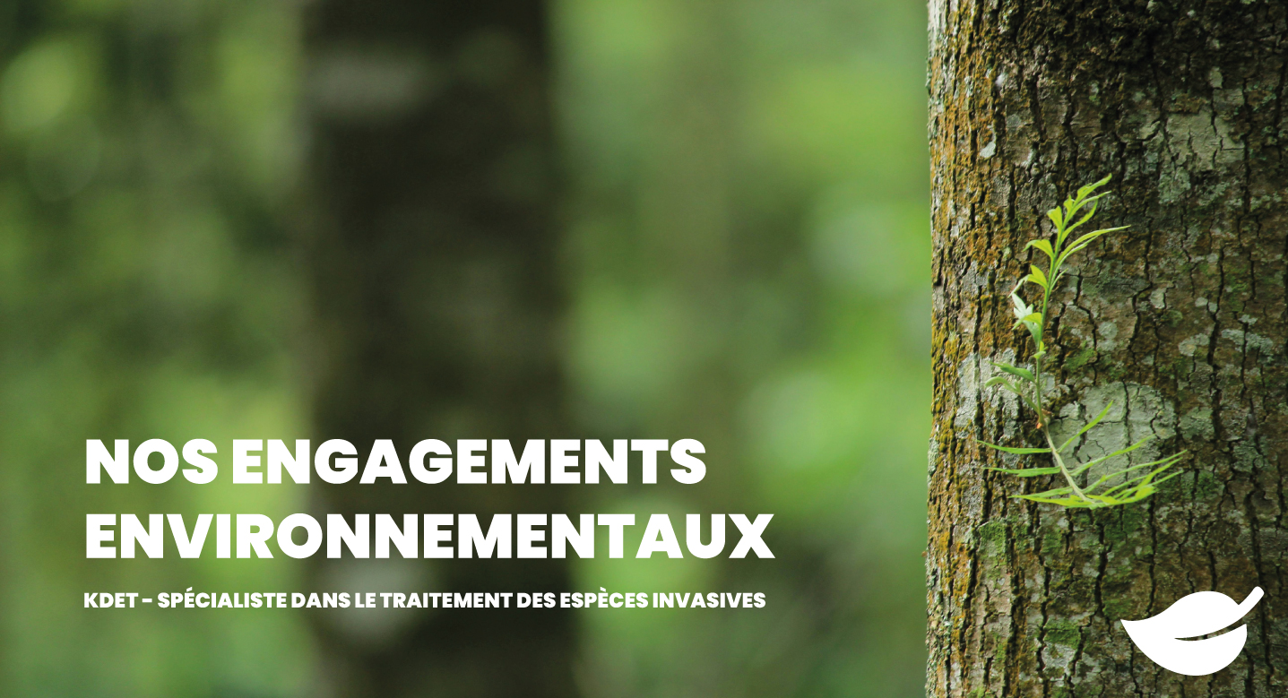 Kdet, entreprise responsable - Exigence professionnelle et engagement environnemental.