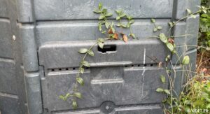 compost de jardin attirant des rats en Haute-Savoie